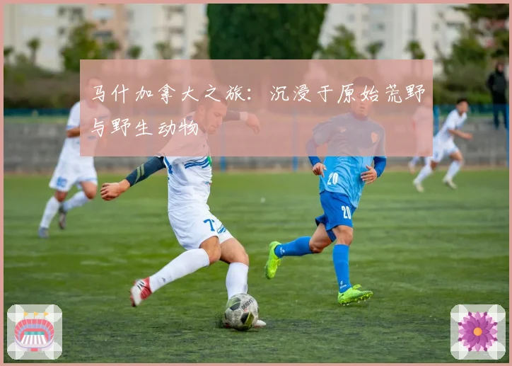 马什加拿大之旅：沉浸于原始荒野与野生动物