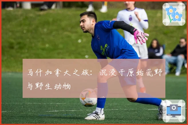 马什加拿大之旅：沉浸于原始荒野与野生动物