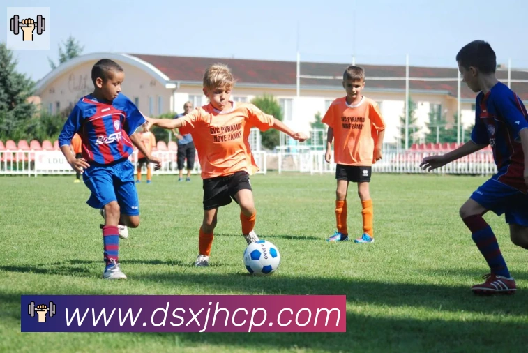 博亚app平台生态图